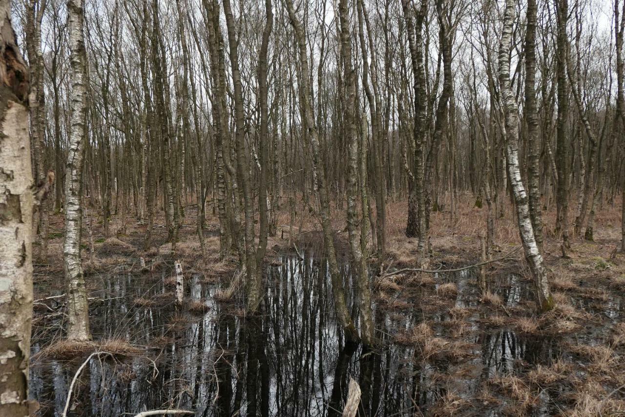 Erve Eshuus Daarle Villa Buitenkant foto