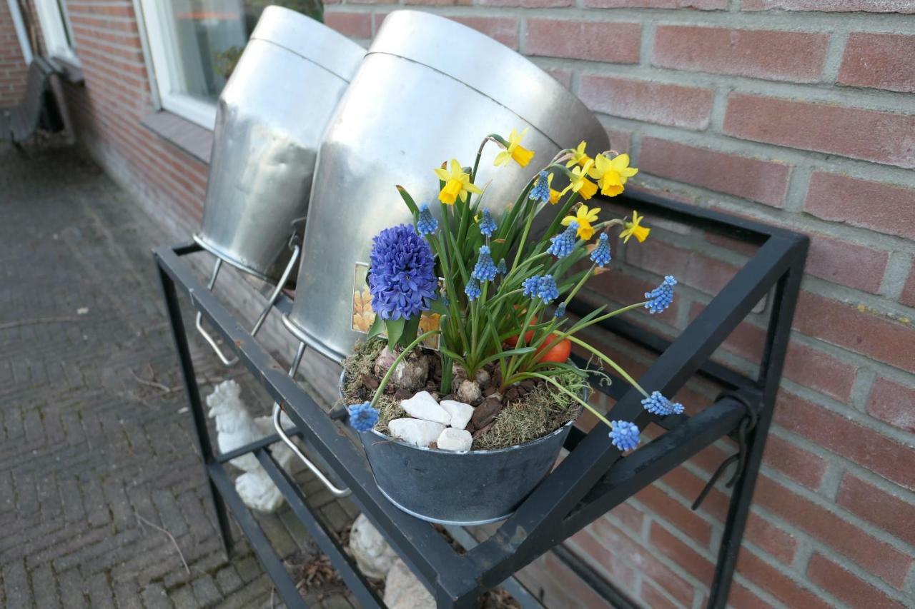 Erve Eshuus Daarle Villa Buitenkant foto