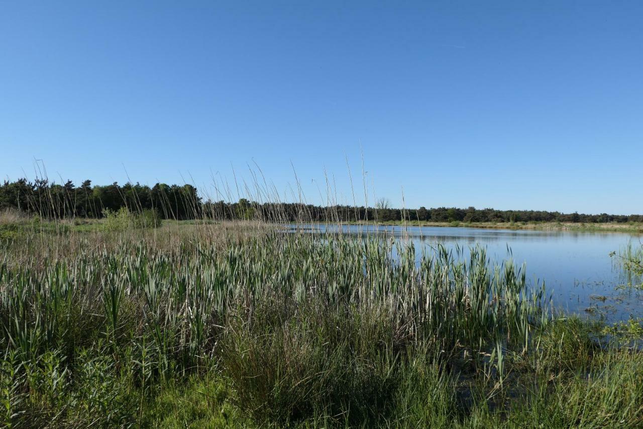 Erve Eshuus Daarle Villa Buitenkant foto